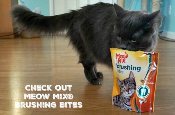 Check out Meow Mix Brushing Bites Hazel