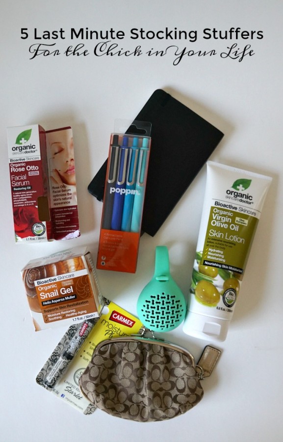 5 Last Minute Stocking Stuffers For the Chick in Your Life #organicdoctor