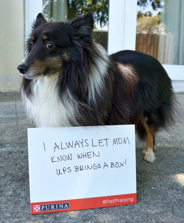 Get to #PetPraising & Enter to WIN a Pet Photo Shoot!