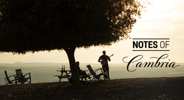 notes of cambria blog hero