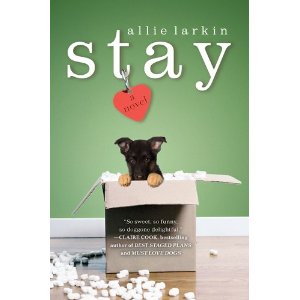 Stay, a Novel by Allie Larkin
