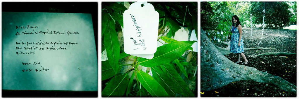 Yoko Ono Wishing Grove, Fairchild Tropical Botanic Garden