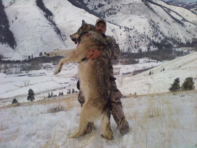 man in the wilderness covered in snow holding up a dead wolf