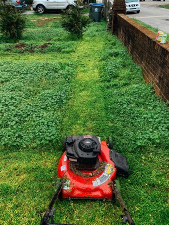 4 Lawn Care Tips To Grow Curb Appeal