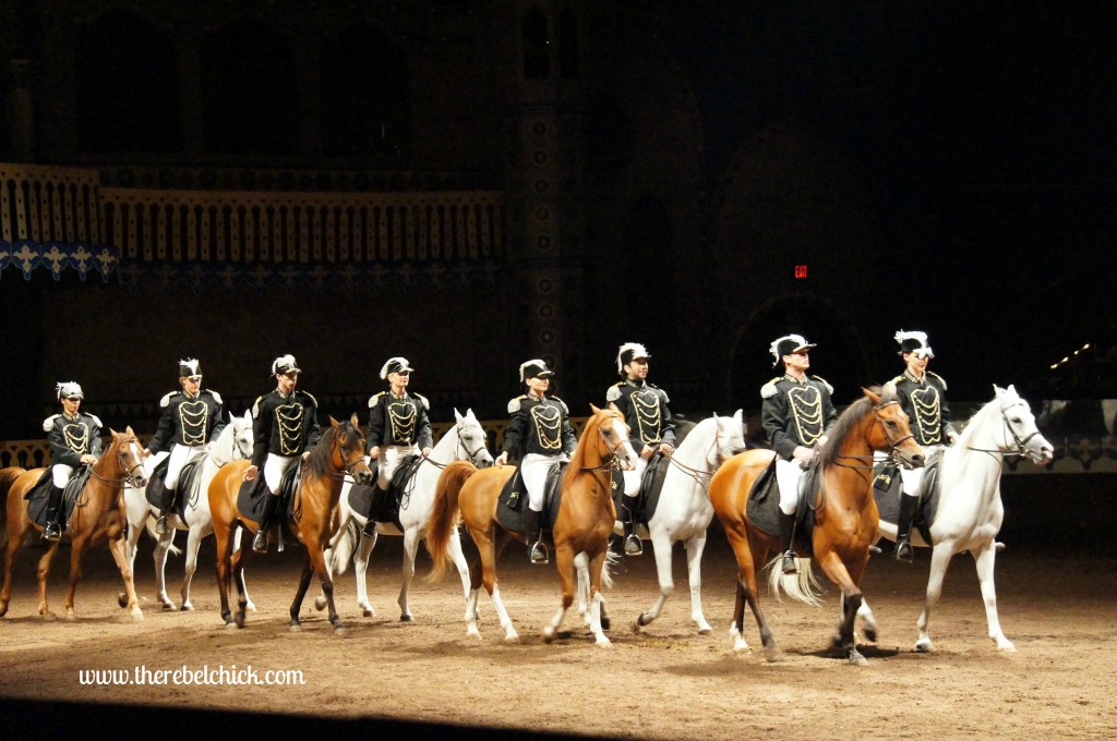 horse show at arabian knights