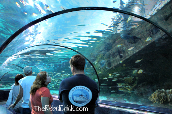 Ripley's Aquarium - Myrtle Beach, South Carolina