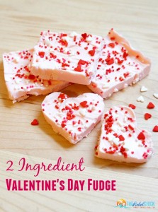 2 Ingredient Valentine's Day Fudge Recipe