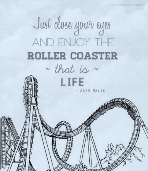 quotes about roller coasters