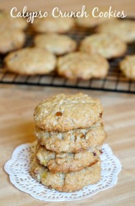 Calypso Crunch Cookies Recipe