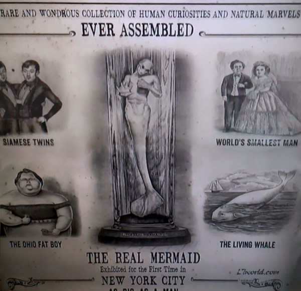 mermaids the new evidence