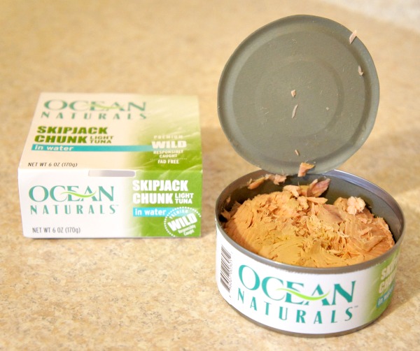 Healthy Tuna Recipes: Fat-Free Tuna Dip Recipe with Ocean Naturals #OceanNaturals #cbias #shop