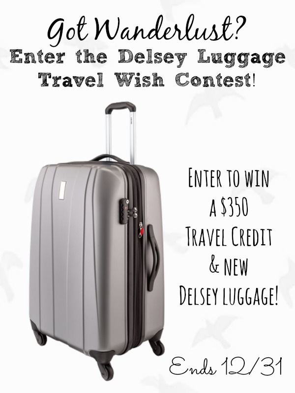 delsey travel wish contest