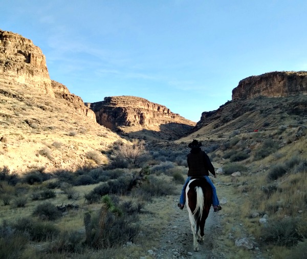 Horseback Riding in Red Rock Canyon #Lumia Nokia Lumia 1520 Photography