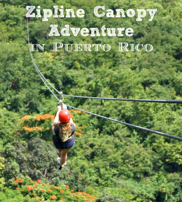 Zipline Canopy Adventure in Puerto Rico