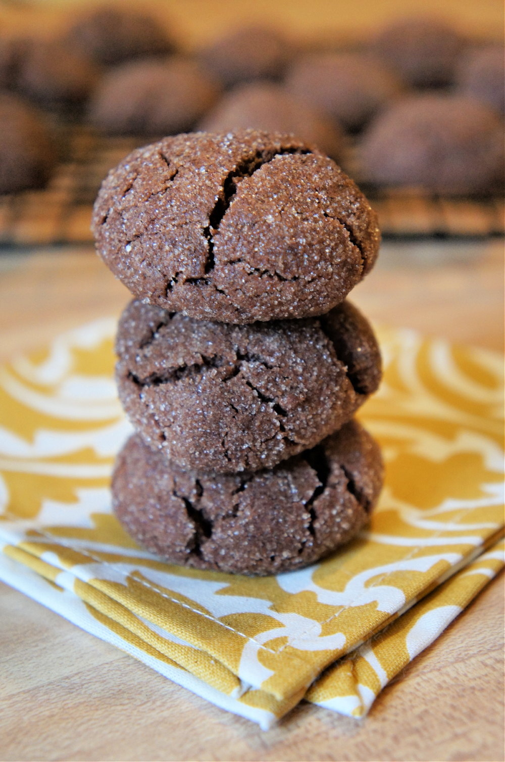 Chocolate Snickerdoodles Recipe