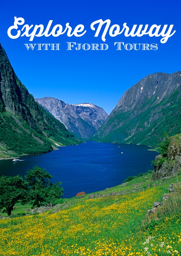 Explore the landscape of Norway with Fjord Tours ®