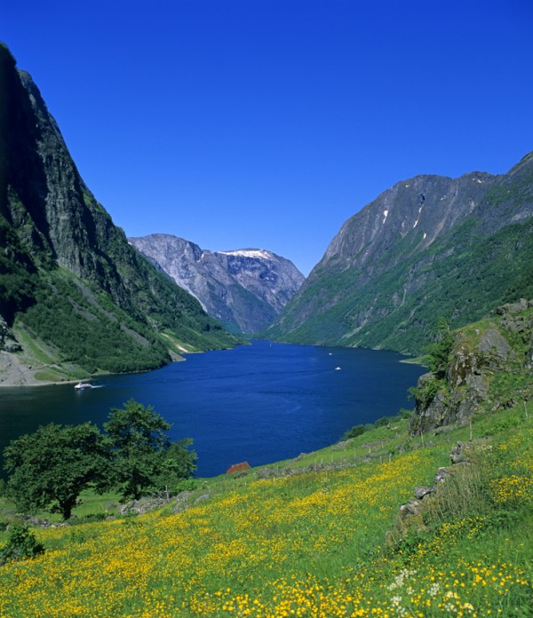 Explore the landscape of Norway with Fjord Tours ®