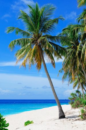 Top 5 Beaches in La Romana, Dominican Republic
