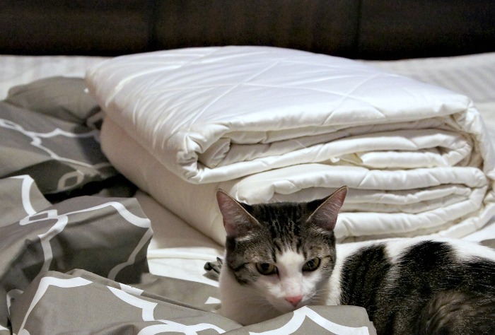 New Duvet