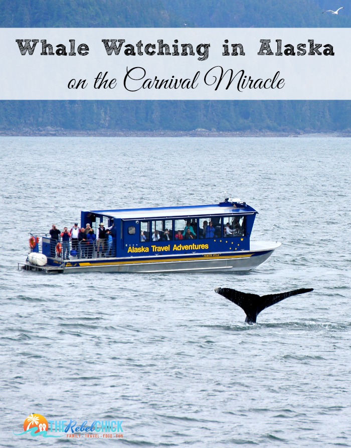 Whale Watching in Alaska on the Carnival Miracle