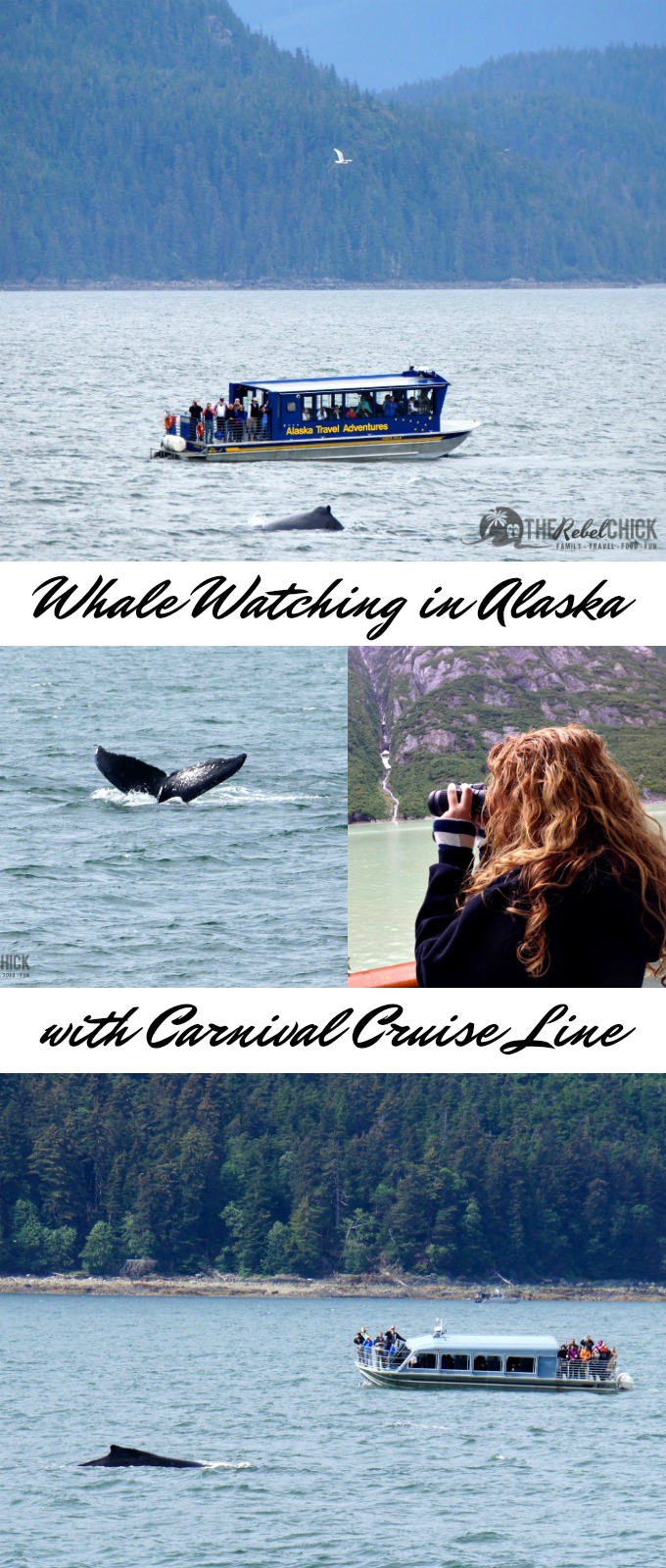 Whale Watching in Alaska with Carnival Cruise Line