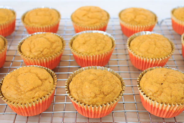 Pumpkin Pie Cupcakes With Cinnamon Whipped Frosting Recipe