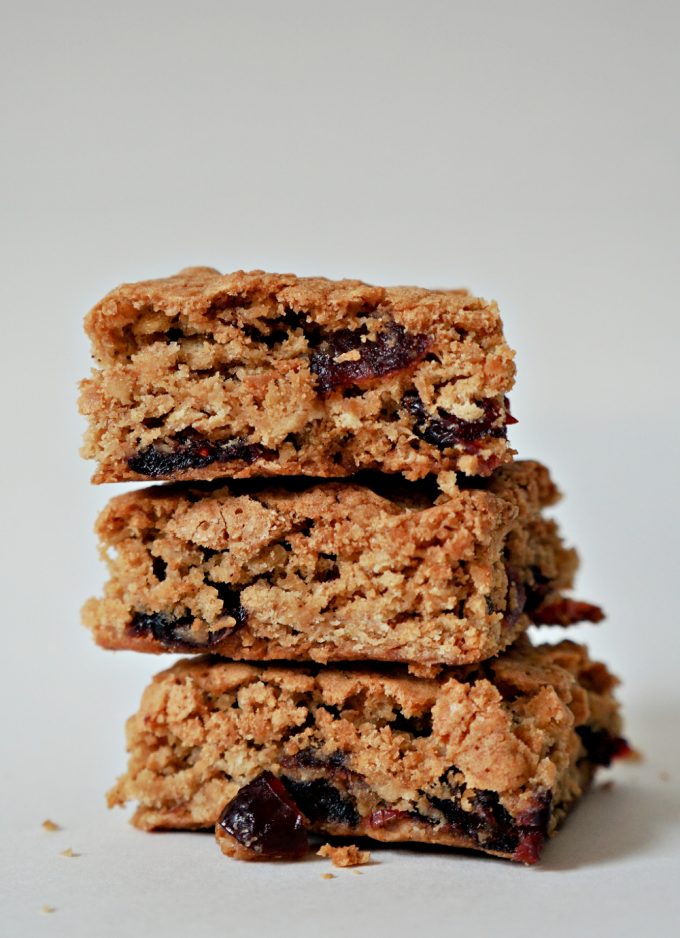 Oatmeal Craisin Snack Bars Recipe - The Rebel Chick