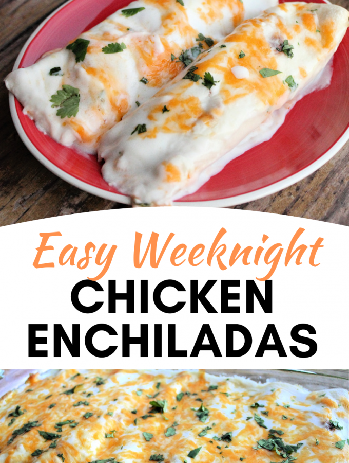 Easy Weeknight Chicken Enchiladas Recipe