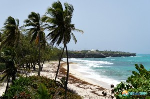 The Crane Beach in Barbados 1