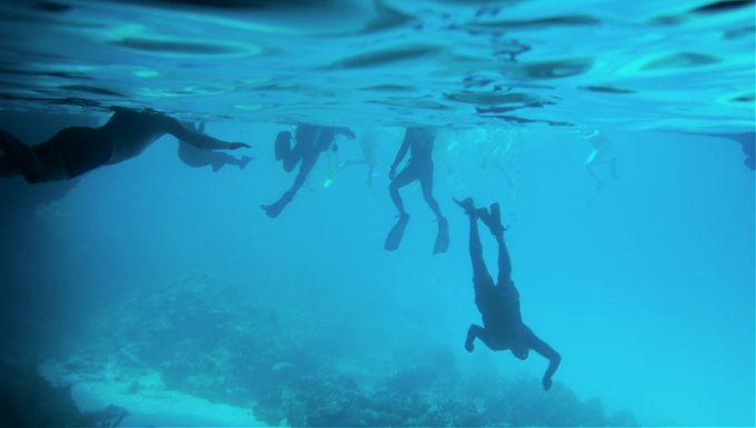 7 Reasons Why You Should Go Snorkeling in Curaçao
