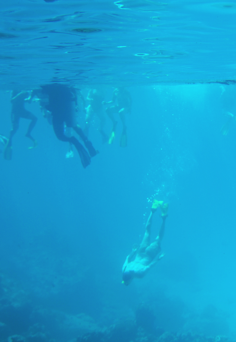 people swimming in the blue room cave in curacao