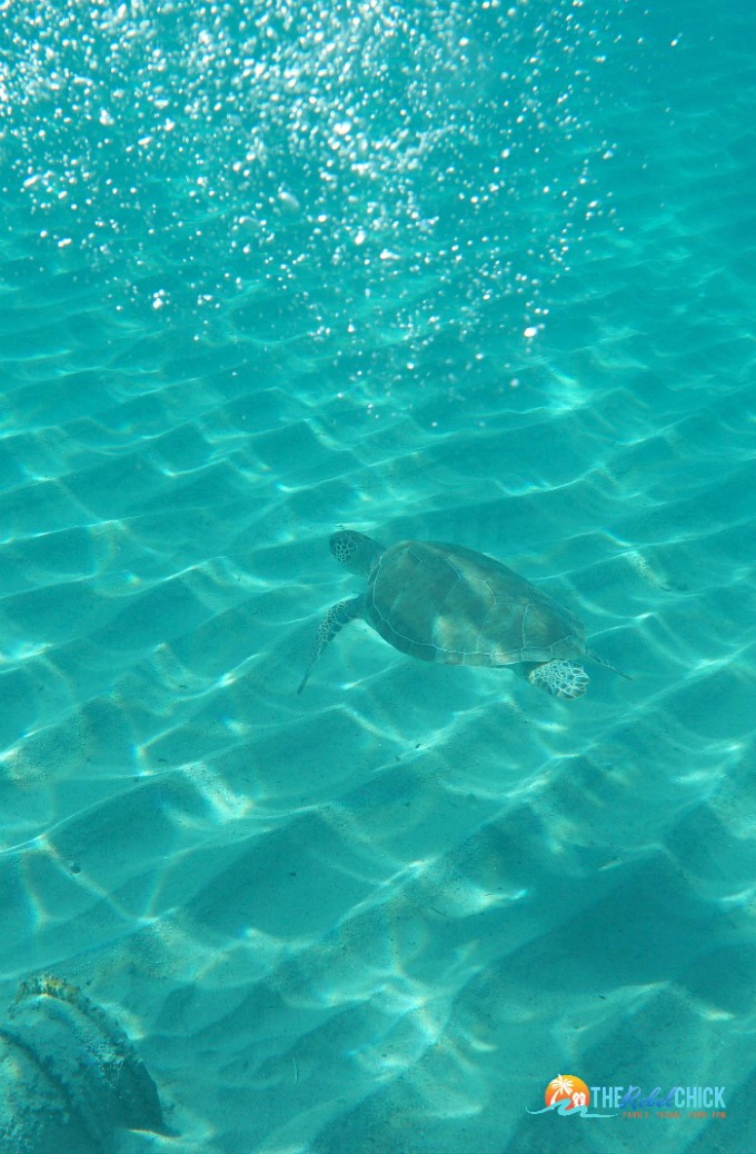 7 REASONS WHY YOU SHOULD GO SNORKELING IN CURAÇAO