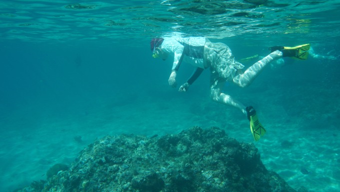 You can Snorkel at Any Beach in Curacao. 