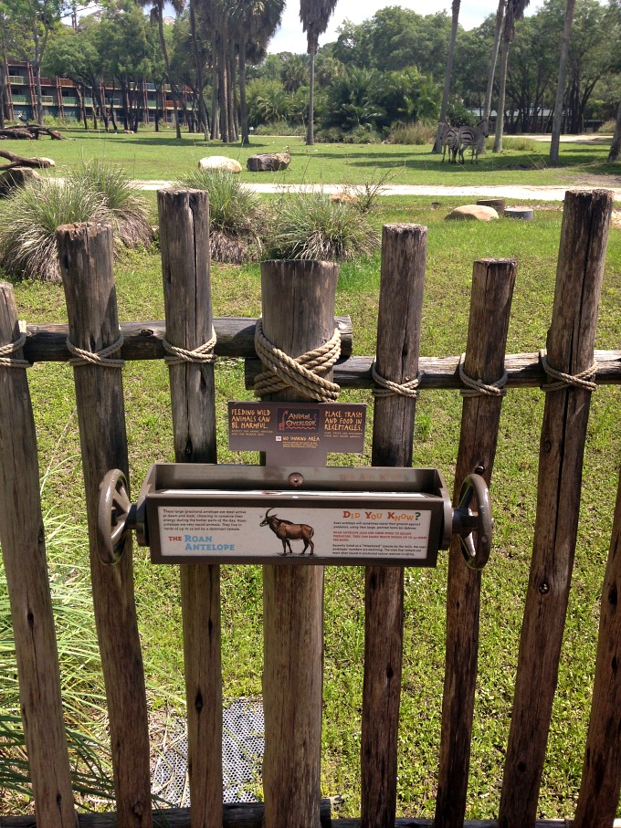 Disney’s Animal Kingdom Lodge & Villas #DisneySide 