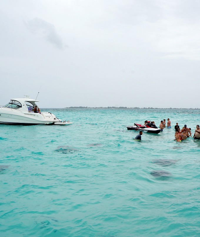 Swimming with Southern Stingrays at Stingray City in the Cayman Islands