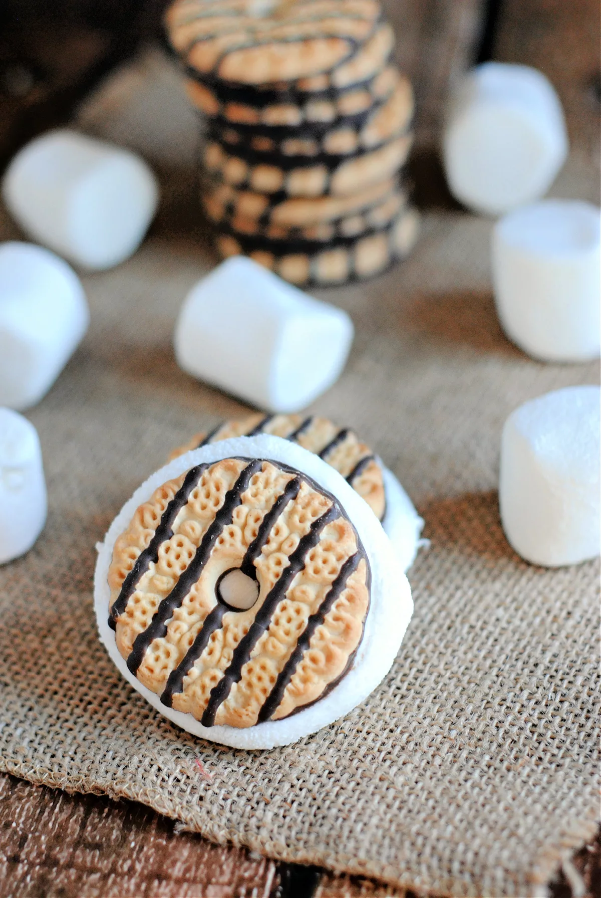 S'mores Cookie Sandwiches 