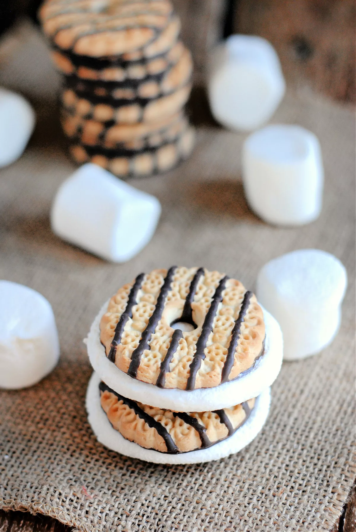 S'mores Cookie Sandwiches 