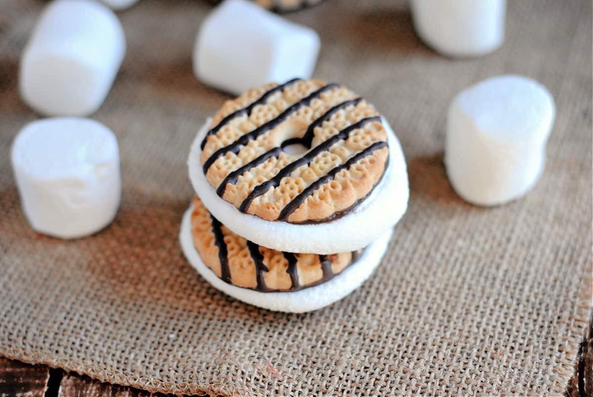 S'mores Cookie Sandwiches Recipe 