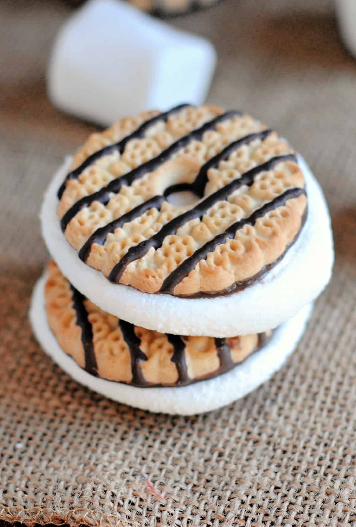 S'mores Cookie Sandwiches Recipe