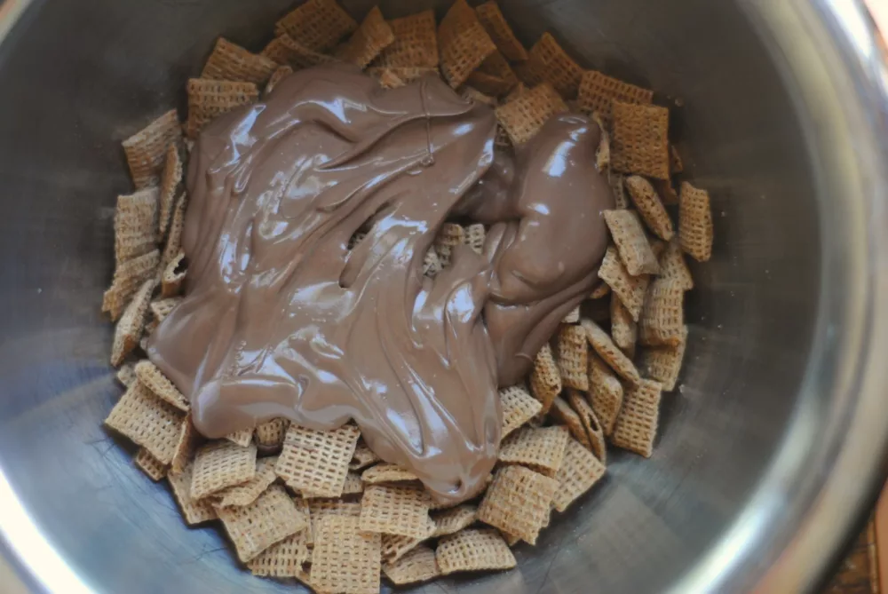 chex cereal in a bowl covered in chocolate 