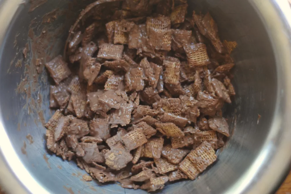 chex cereal in a bowl covered in chocolate