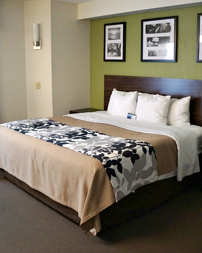 Choice Hotels Sleep Inn Bryson City Hotel Room