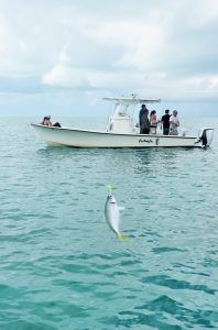 Fishing in Islamorada With Bud N Mary's Marina