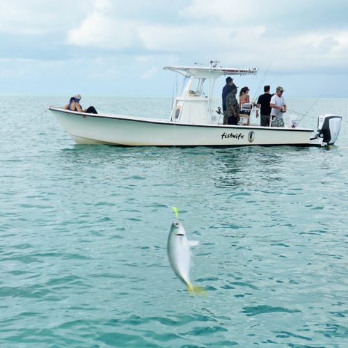 Fishing in Islamorada With Bud N Mary's Marina