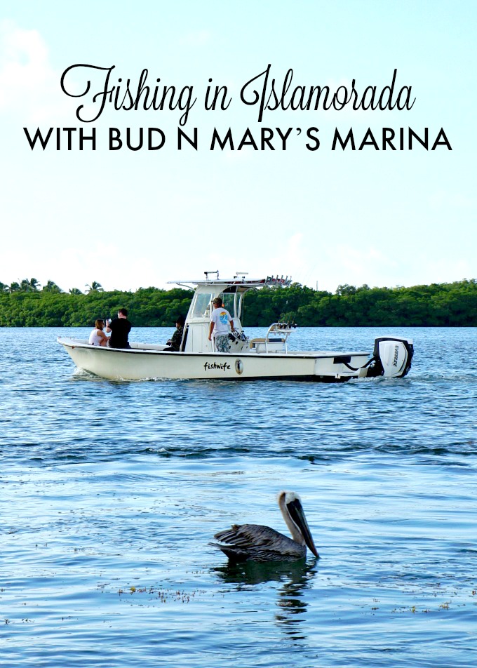 FISHING IN ISLAMORADA WITH BUD N MARY’S MARINA