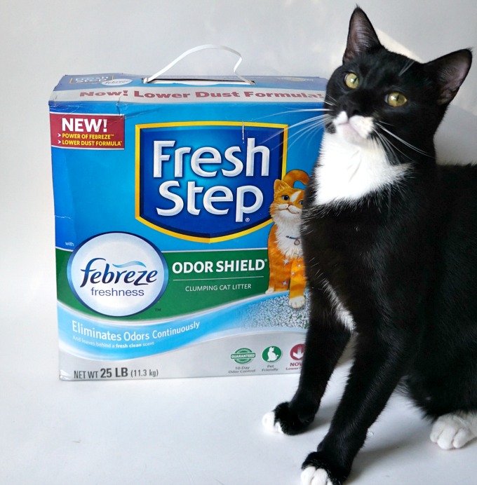 Say Goodbye to Odor with Fresh Step and Febreze #Unsmellable #FreshStep