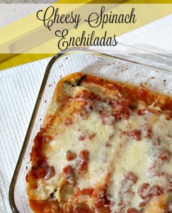 Cheesy Spinach Enchiladas Recipe