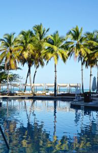 El San Juan Resort and Casino palm trees
