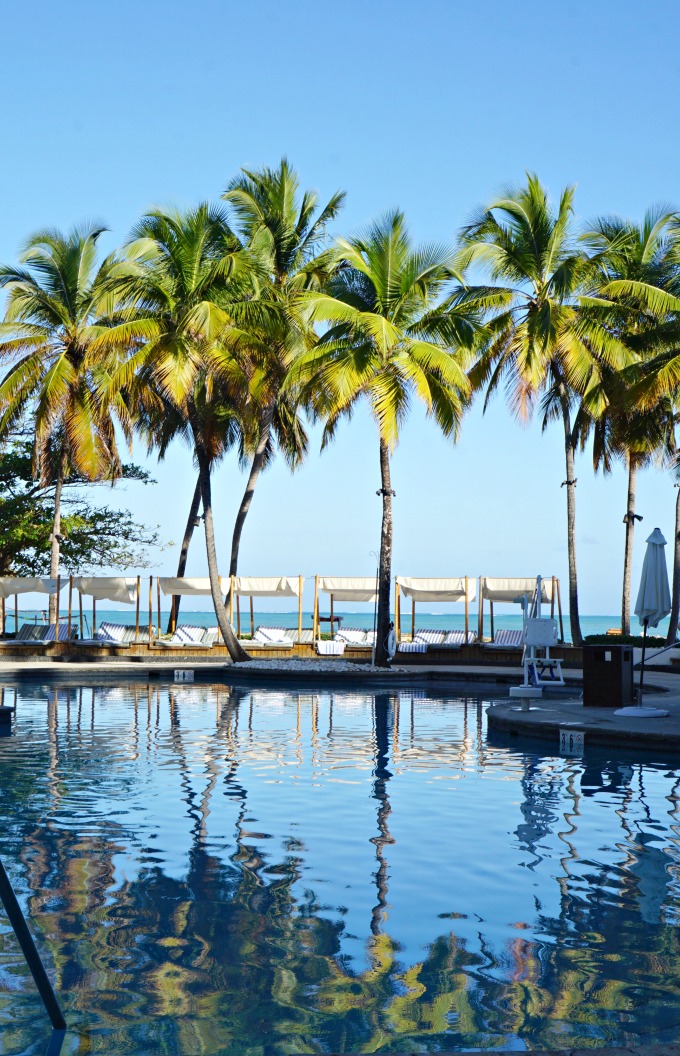 El San Juan Resort and Casino palm trees