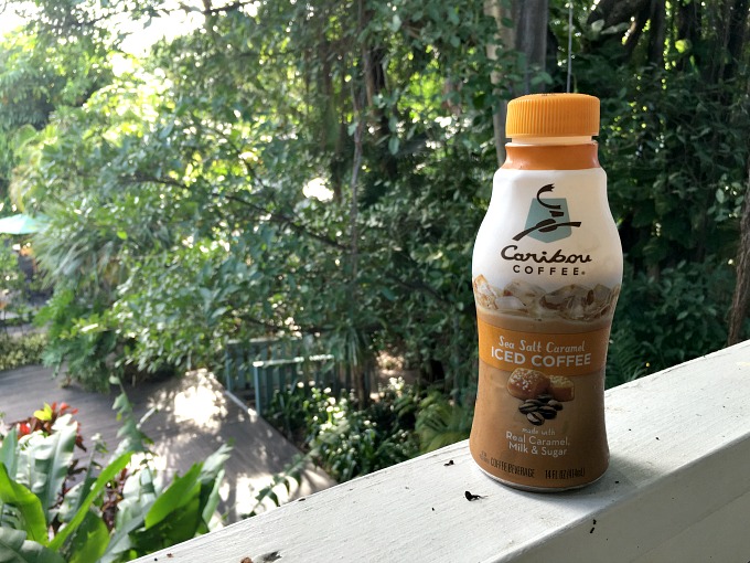 Get Caffeinated on the Go With Caribou Coffee Premium Iced Coffee
